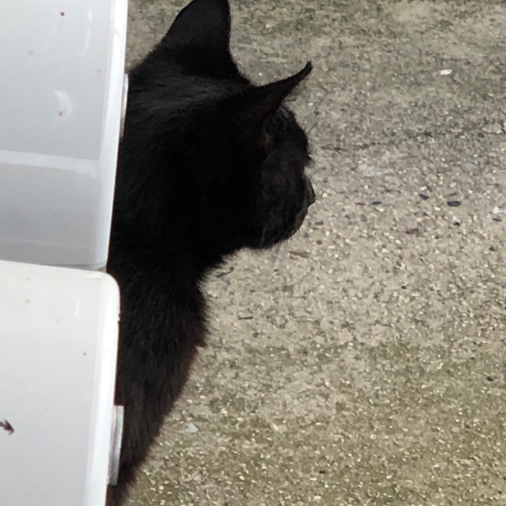 Meet your Posher, William